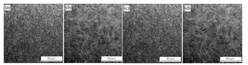 info-830-219 info-830-219